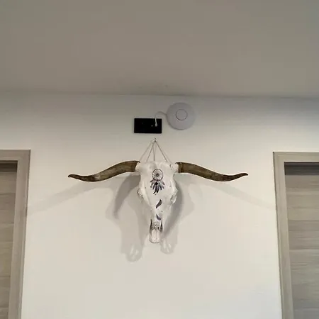 Ranchhouse Smoker- Westernstable - Horse Apartment Elterlein