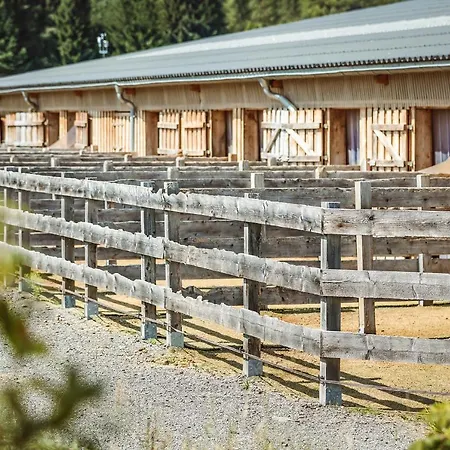 Ranchhouse Smoker- Westernstable - Horse Apartament Elterlein
