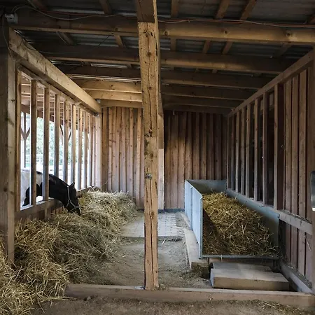 Ranchhouse Smoker- Westernstable - Horse Elterlein